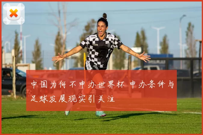 中国为何不申办世界杯 申办条件与足球发展现实引关注